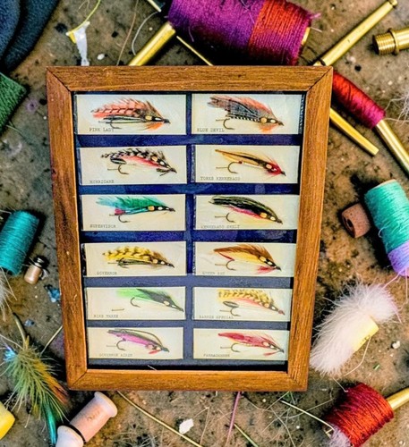 Framed feather wing - framed, feather-wing