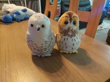 RSPB Tawny & Snowy Owl Soft