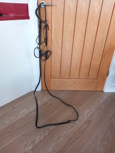Antique leather bridle bit - antique,