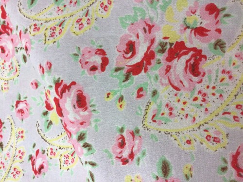 50cm 25cm wide cath - 25cm,