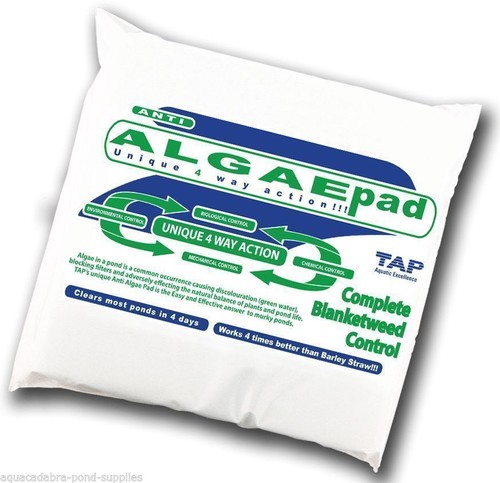 Tap algae pad blanketweed - tap,