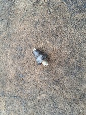 PIAGGIO ZIP 125 4T SCOOTER