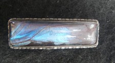 Butterfly wing brooch very