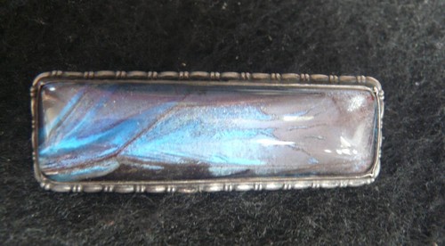 Butterfly wing brooch - , very