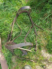 Leather bridle extra full size; 2 bits; 2 girths