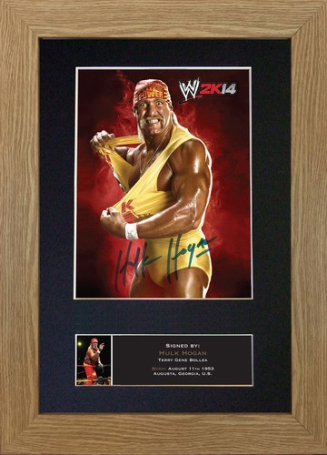 494 hulk hogan - hulk, a4