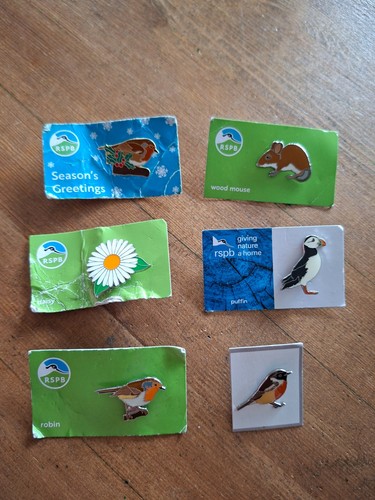 Rspb metal pin - x,