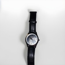 Pierre Cardin Mens Watch