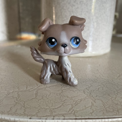 Littlest pet shop - collie, lps