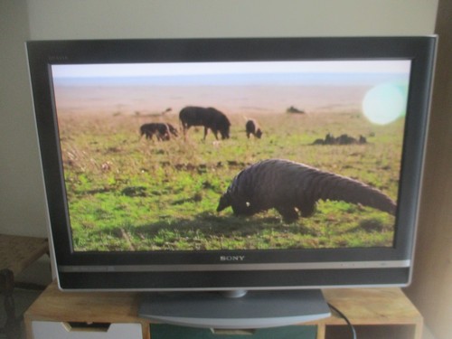 Sony bravia kdl 32v2000 - bravia, 32"