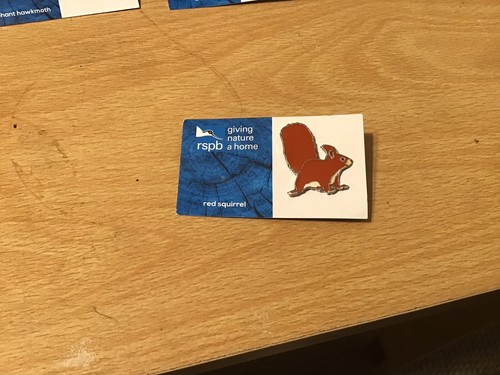 Rspb pin badges - pin,