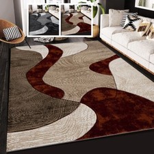 Extra Large Area Rugs Living