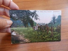 Postcard St Pauls Cray Common