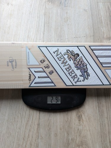 Newbery sps pro cricket - newbery, bat