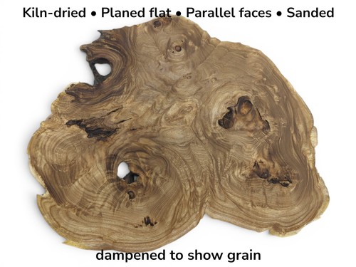 Pagoda tree wood slab live - pagoda,