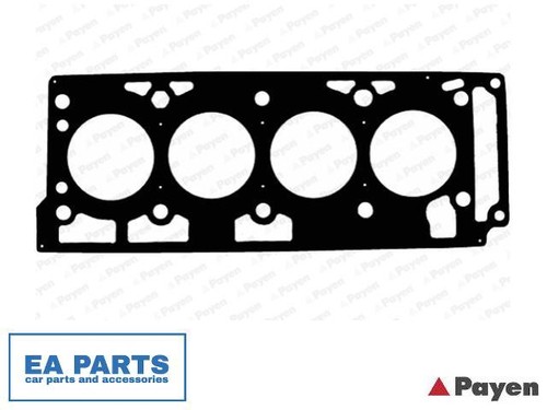 Gasket cylinder head - head, for