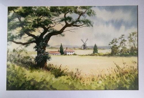 Original watercolour painting - watercolour,