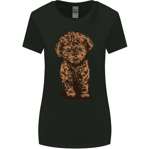 Dogs cute labradoodle - cute, puppy