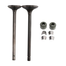 Intake Exhaust Valve Kit For
