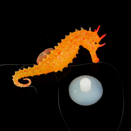 Artificial glowing seahorse - artificial,
