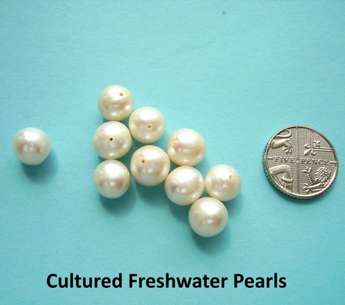 Real freshwater cultured - freshwater,