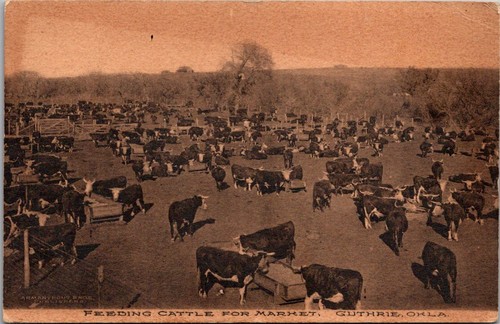 Guthrie oklahoma feeding - guthrie,,