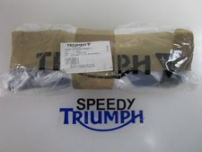 TRIUMPH BONNEVILLE T100 STREET