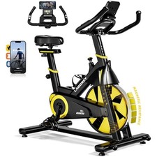 LABGREY Exercise Bike Indoor