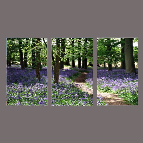 Large multi panel set - multi, 3