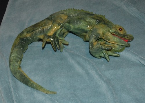 Pre loved folkmanis iguana - pre-loved,