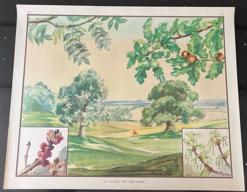 Vintage 1950s enid blyton - vintage,