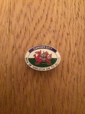 Cardiff City Oval Shaped