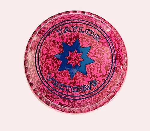 Taylor vector lawn bowls - vector,