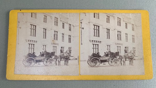 Horse drawn carriage group - horse,