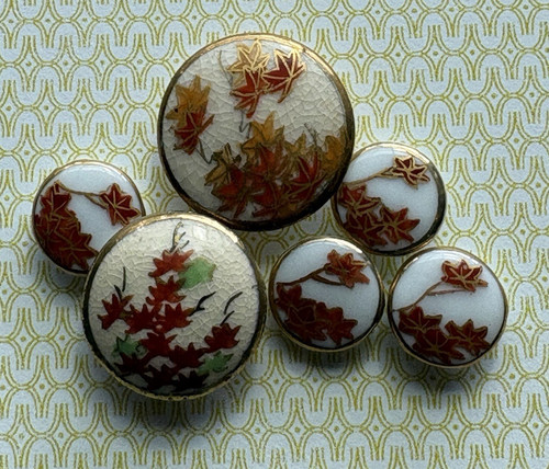 Collection satsuma - collection,