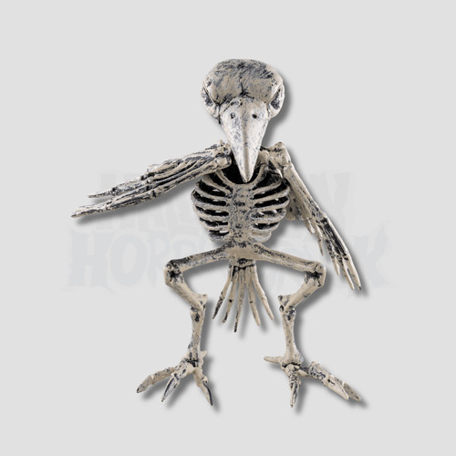 16cm skeleton bird - skeleton, indoor