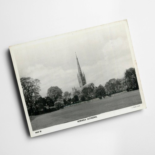 Print vintage norfolk - -,