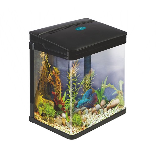 Small nano aquarium fish tank - small,