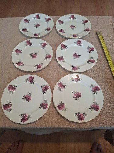 Dorchester fine bone china - fine,