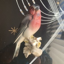 Bullfinch Bird Wall Plaque Hertwig Katzhutte 4344 Germany Vtg rare prop ceramic 