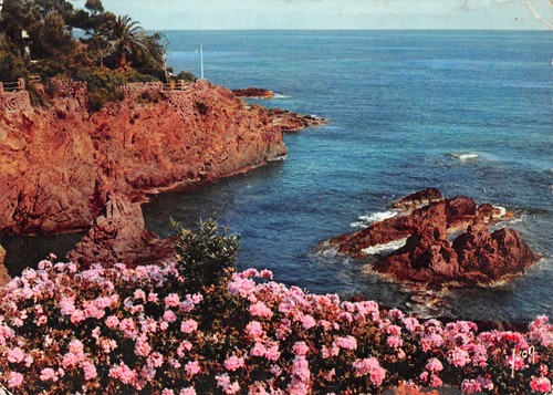 83-ESTEREL