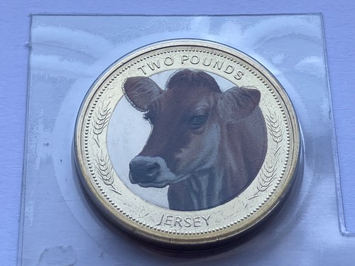 2024 jersey heritage breeds - jersey,