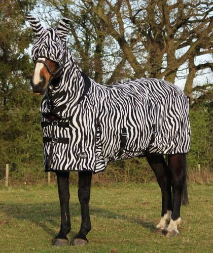 Jump all one zebra - , all-in-one