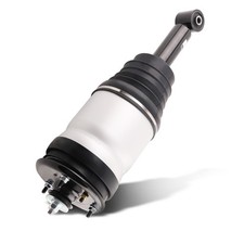 Rear Air Suspension Strut For