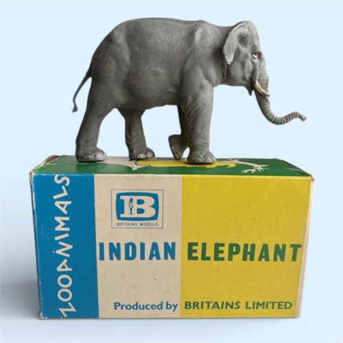 Britain ltd zoo animals - zoo,