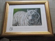 Stephen Gayford Signed Limited