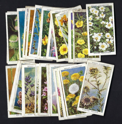 Wills wild flowers - wild, 2nd