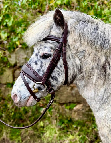 Comfort flash snaffle bridle - snaffle,
