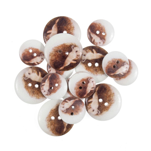 Assorted baby hedgehog - 15, x