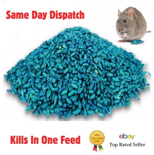 Rat killer poison - rat,